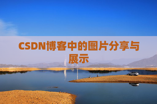CSDN博客中的图片分享与展示